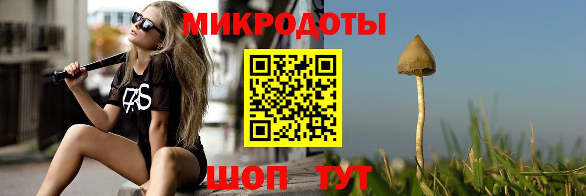 Псилоцибиновые грибы Psilocybine cubensis  Вход с VPN  Урюпинск 